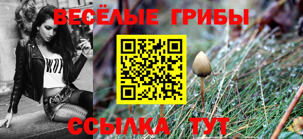 Галлюциногенные грибы мицелий  Вход с VPN  Лысьва  Псилоцибиновые грибы Cubensis 